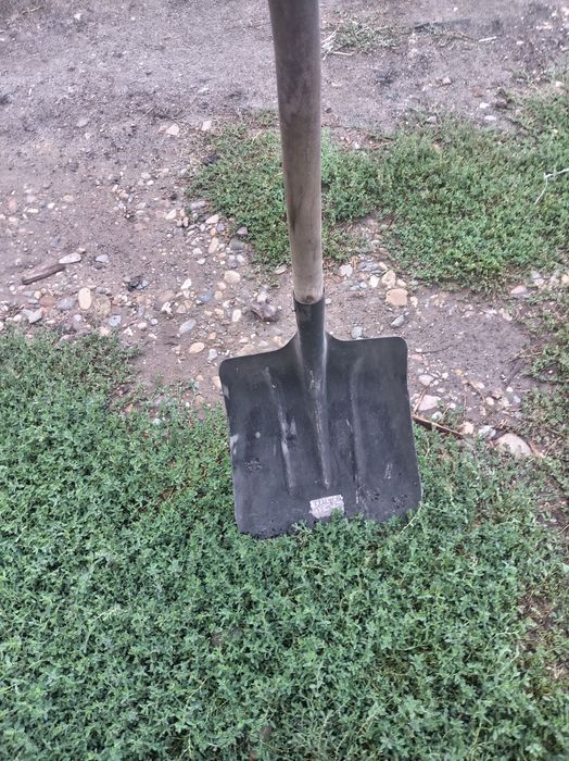 Кошу траву, дрова