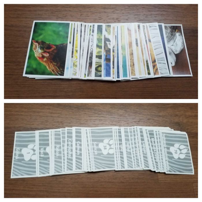 Star Wars , Strumpfii, Rio 2 , Wowzoo , Spongebob