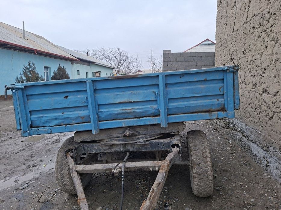 Телешка прсепла сотилади сеткалари бор