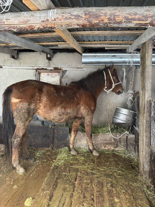 Сатылады срочно!