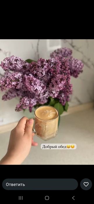 Сирень 1000тг ...и вышеее