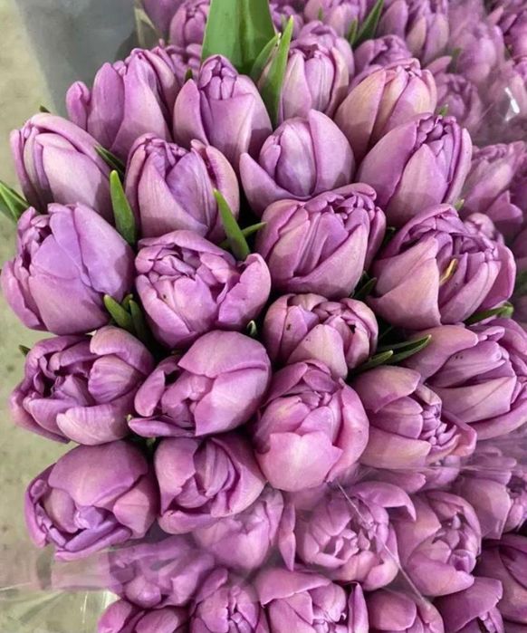 Успей заказать на 8 марта