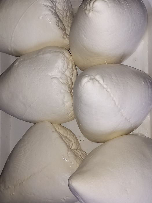 Vînd  Brînză de vacii