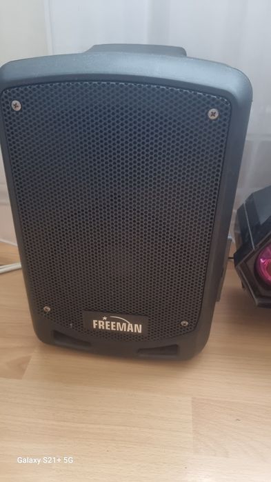 Boxa portabila cu microfon