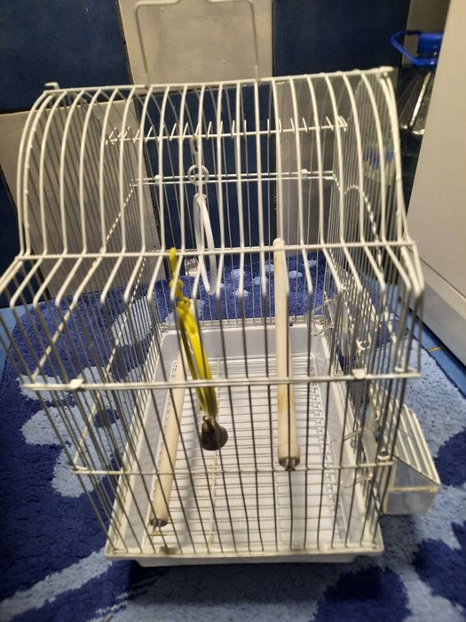 Colivie canari  sau alte padari