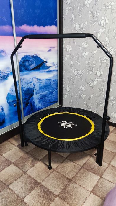 Батут-тренажер Triumph nord