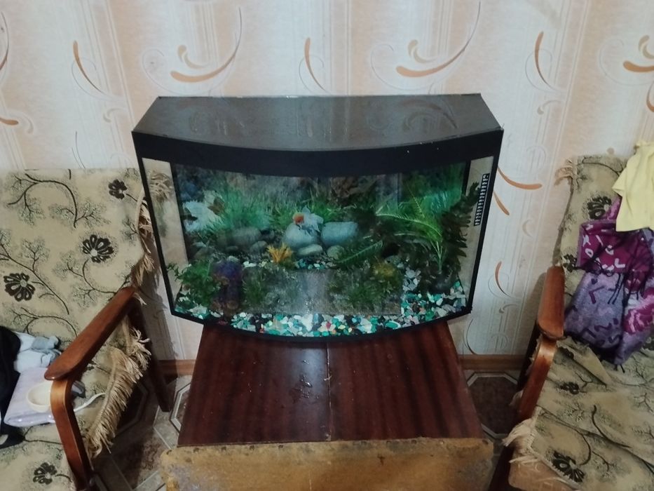 Продаю аквариум 100 литров