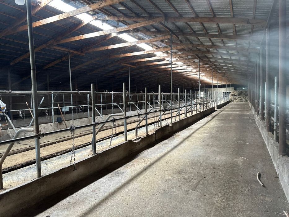 Продам крестьянское хозяйство фазенду