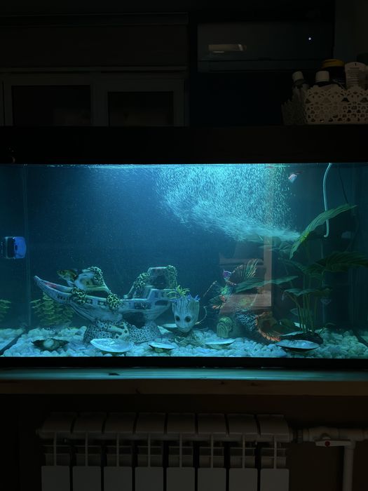 Продам аквариум со всеми вещами