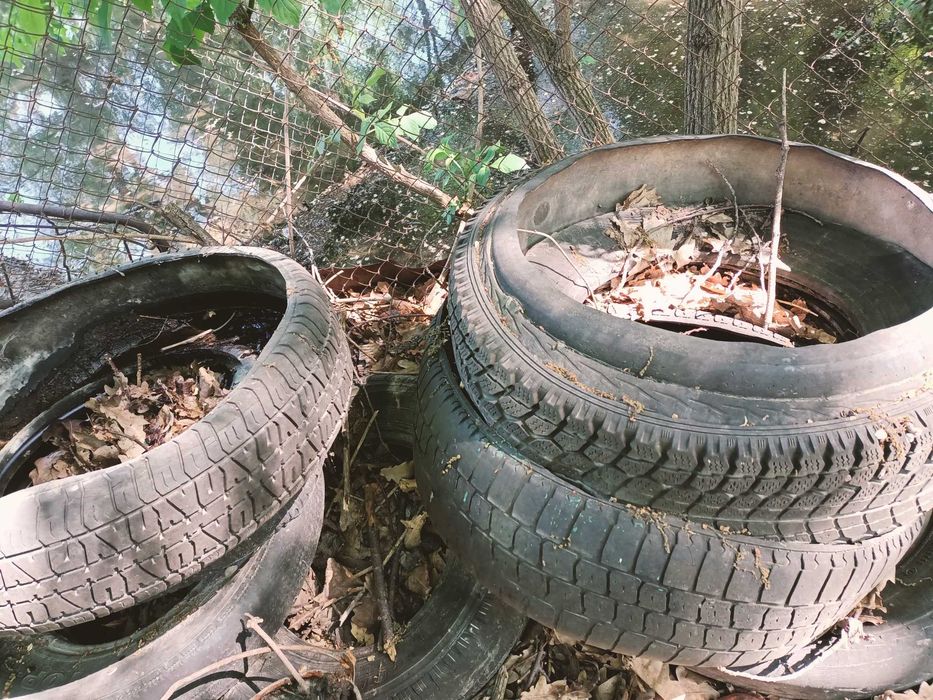 Отдам бесплатно шины