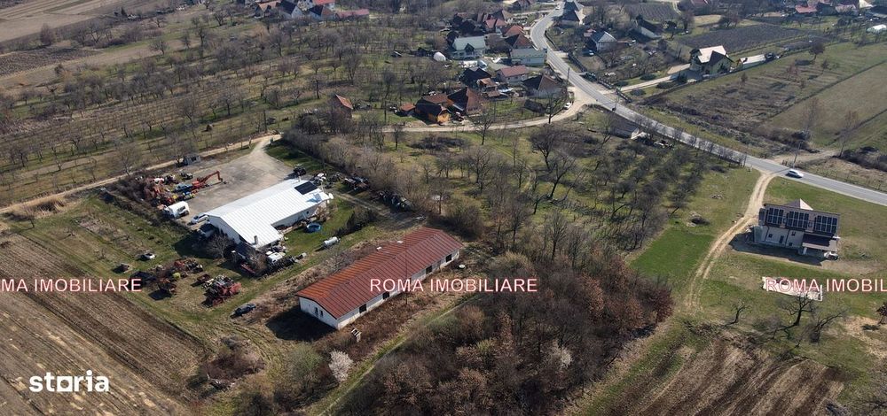 Teren intravilan Berchez 3700 mp+ 2950 mp Utilități 700€/ar NEGOCIABIL