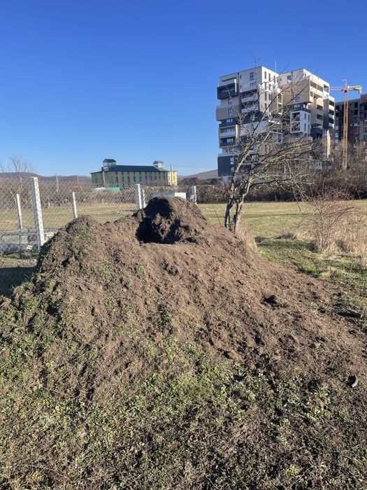 Pamant pentru umplutura