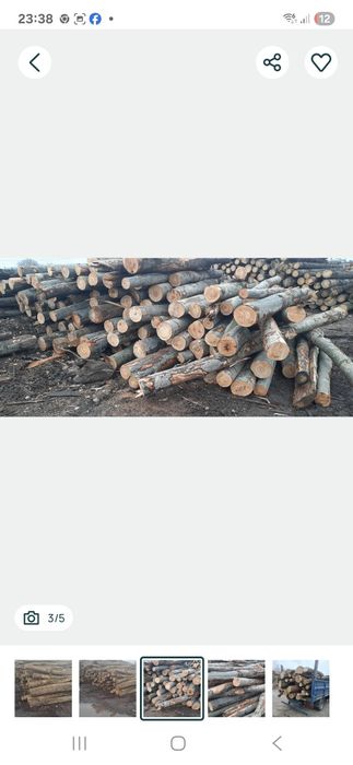 Lemne de foc la metru si la tona
