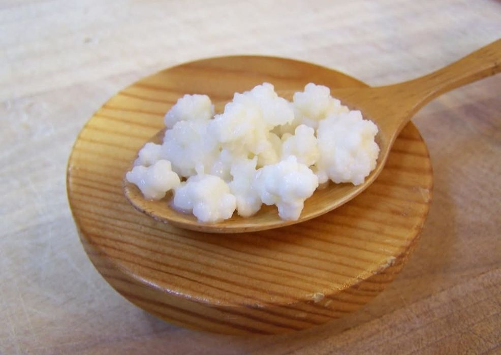 Granule(ciupercă) Kefir