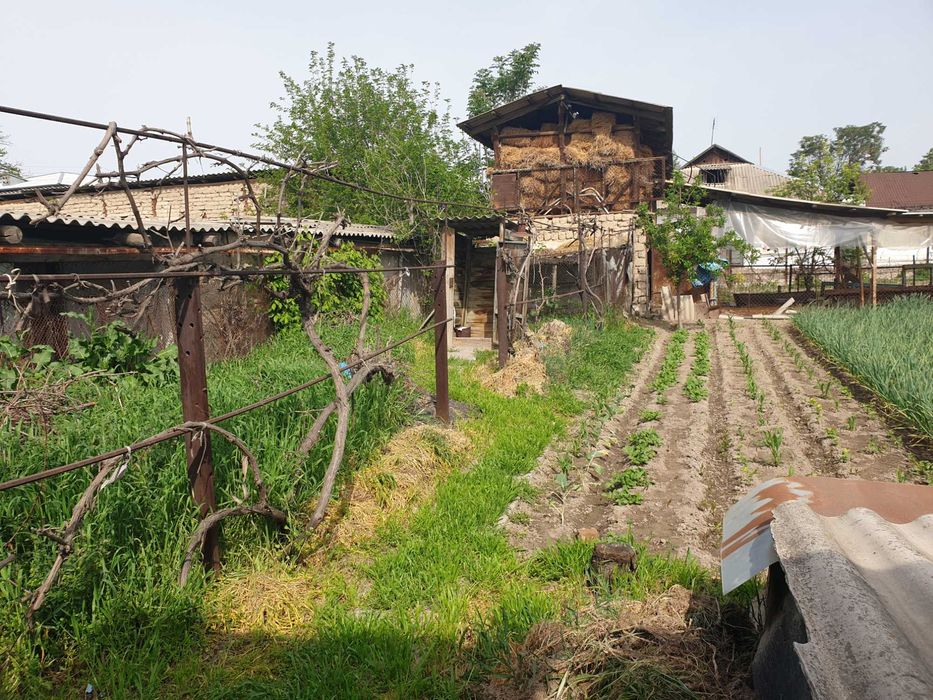 Дом с участком в Дустобаде