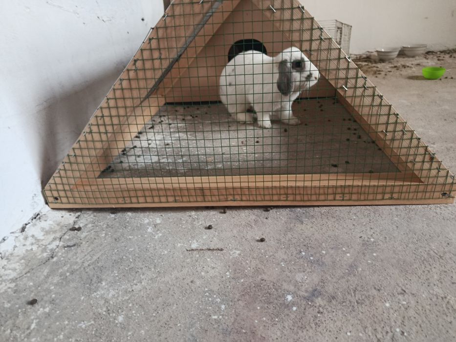 Продам и изготовлю клетки для кроликовиков