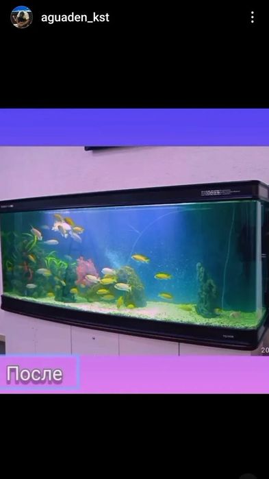 Аквариумные услуги чистка