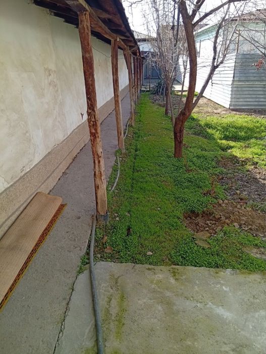 Olmazor tumanida srochno yer sotiladi !