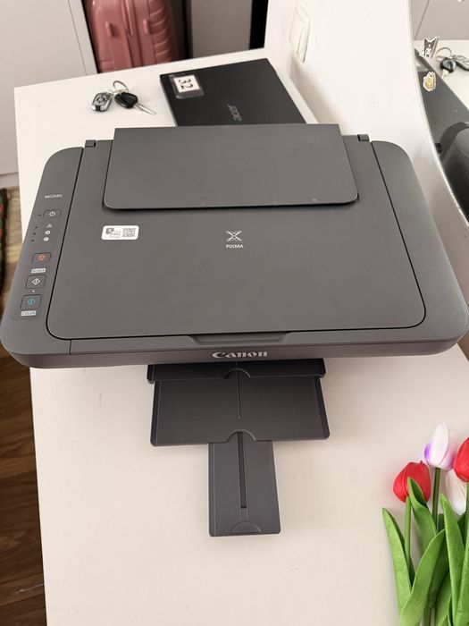 Принтер canon pixma MG 2541S