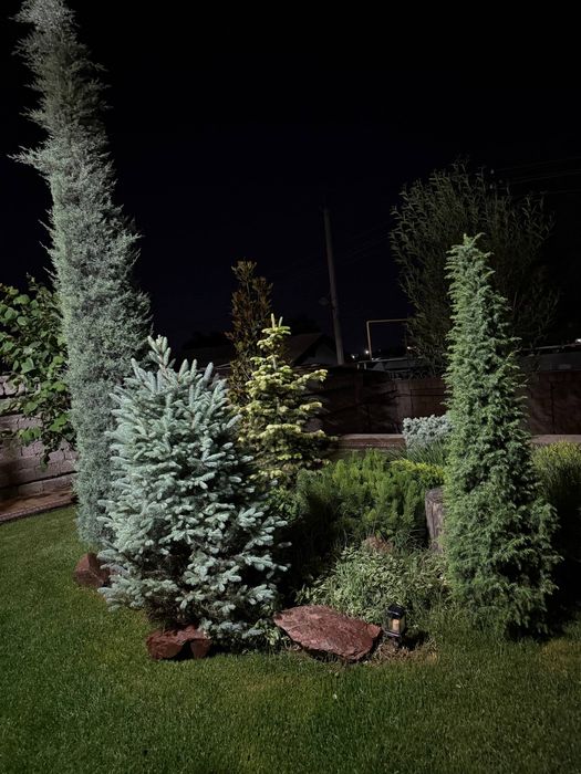 Продаётся дача 8 соток