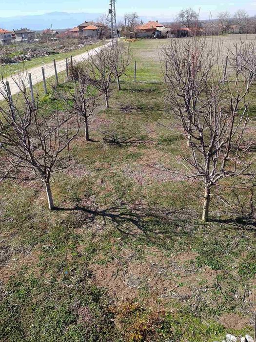 Продава се Земеделски имот в Пловдив, Тракия -  кв.м за 4450 €/дка - Снимка #4