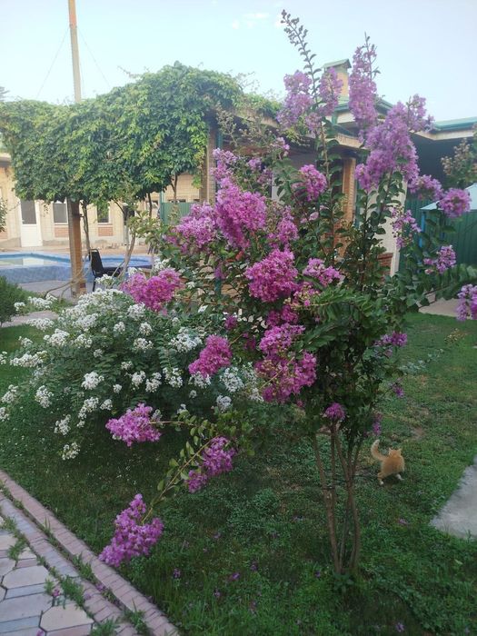 Участок продажа под жилье/бизнес