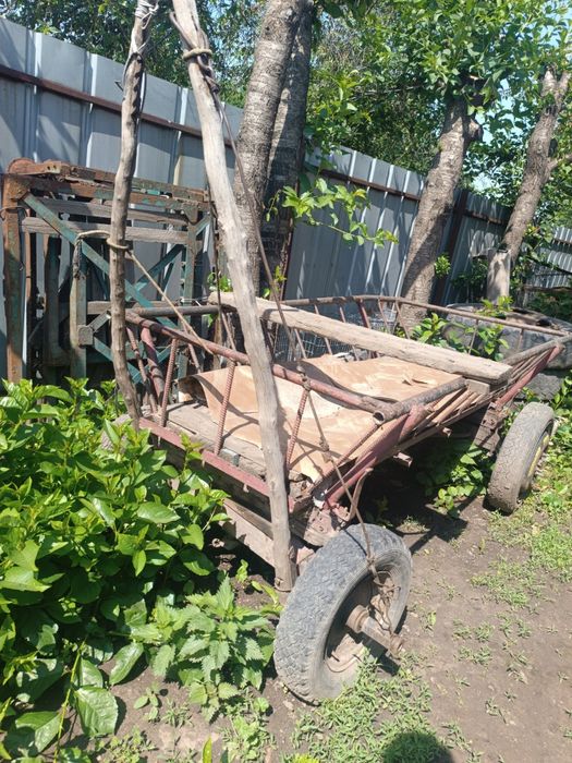 Продам осла с арбой