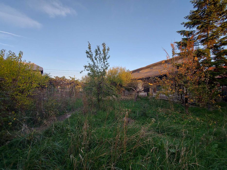 Teren intravilan si casa la tara