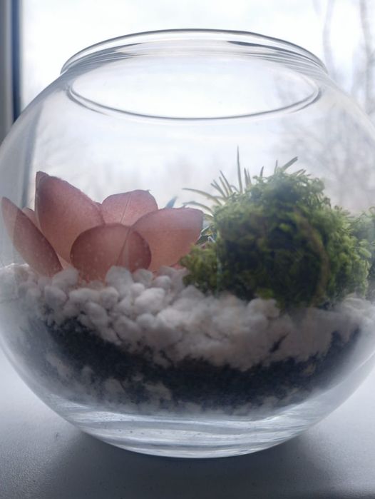 Флорариум с суккулентами в подарок!