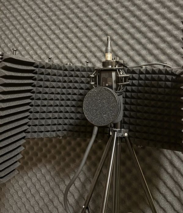 Setup Microfon HOME STUDIO