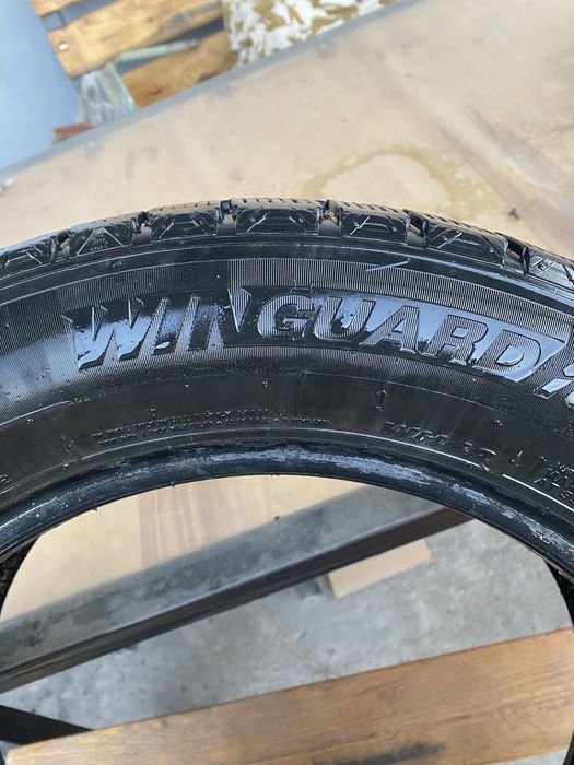 Ризина зима на 16