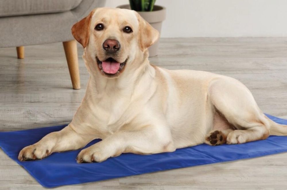 Охлаждаща подложка за домашни любимци