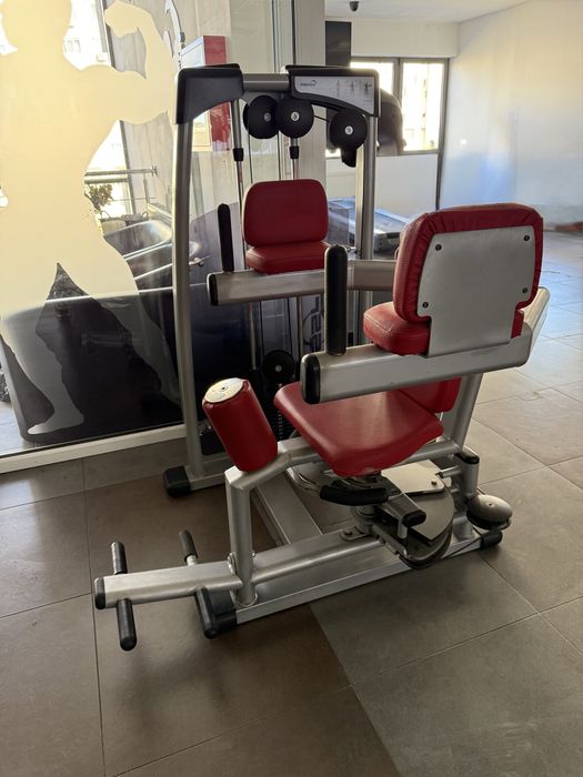 Aparat Rotary torso profesional