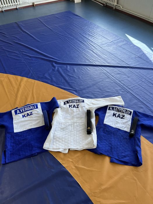 Кимано мизуно ijf