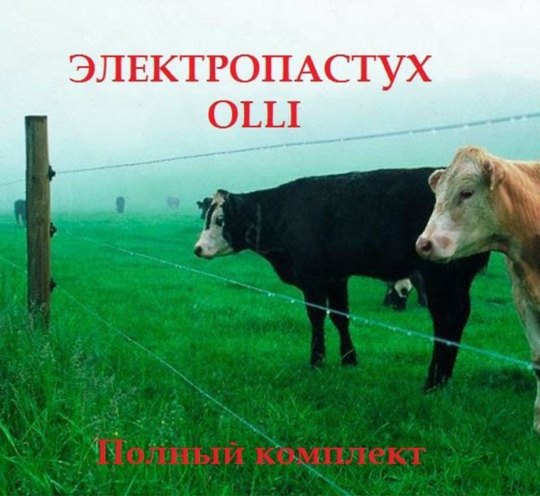 Электропастух Электроизгородь Коровы  Лошади Овцы КРС