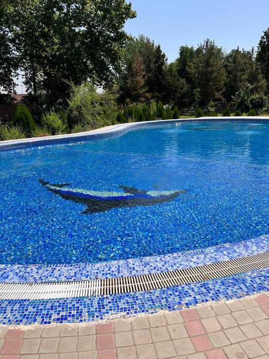 Katta kokrak qora ayol fotosurati