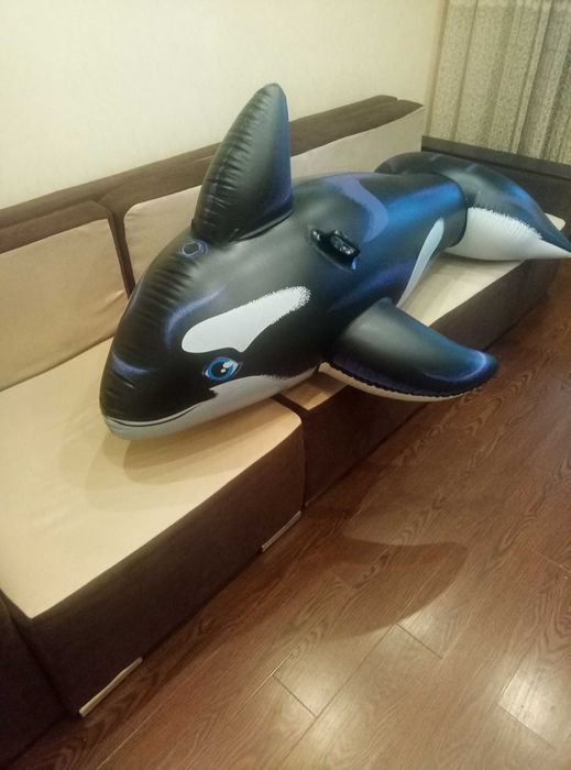 Надувная, рыба, дельфин, круг