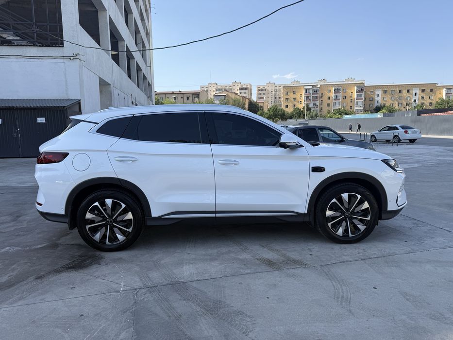 BYD champipn smart 605