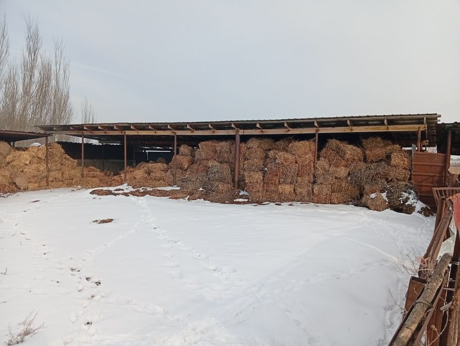 Продам сено разнотравье. Самовывоз.