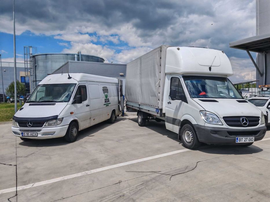 Mutari mobila Iasi – Rapid, Sigur, Pret Corect – AxA Mutari