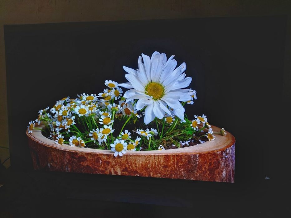 Телевизор LG OLED48C3RLA