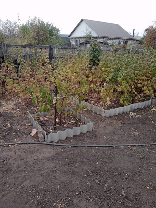 Продам дачу садовое общество Мелиоратор