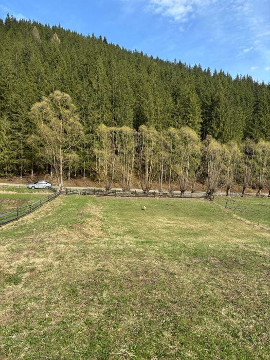 Teren de vânzare în Com. Ciocănești, Sat Botos, județul Suceava,