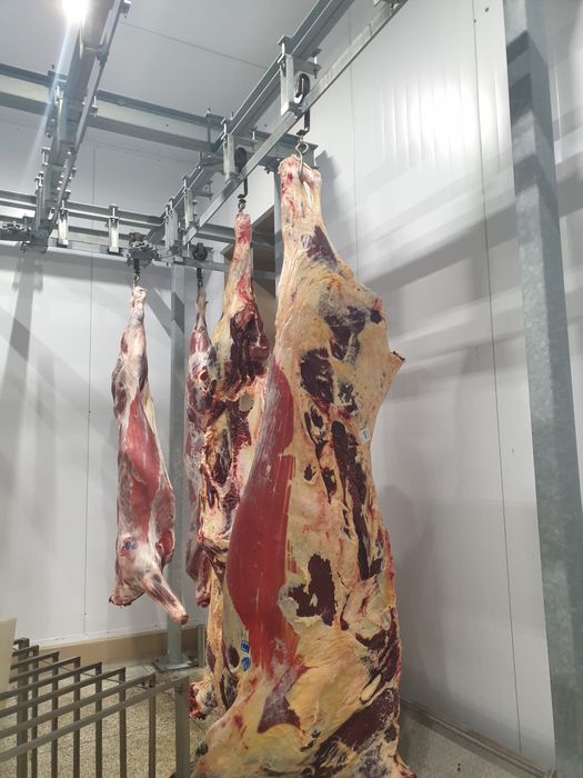 Колбасное оборудование