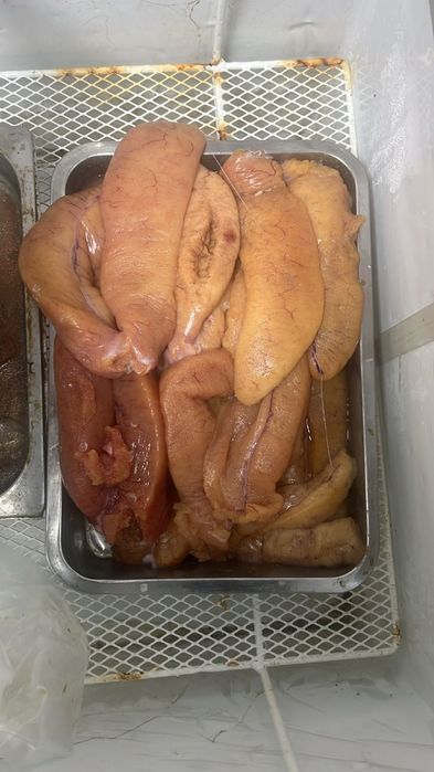 Икра судака из Балхаша