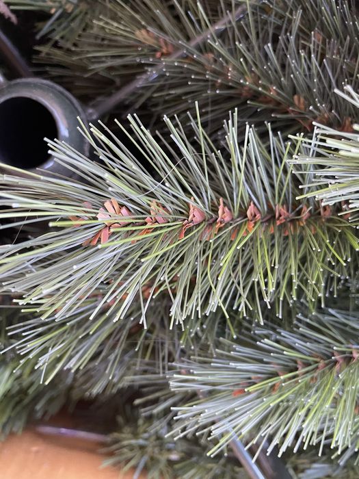 Ёлка Triumh Tree