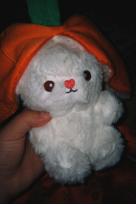 Миленькая игрушка зайчонок