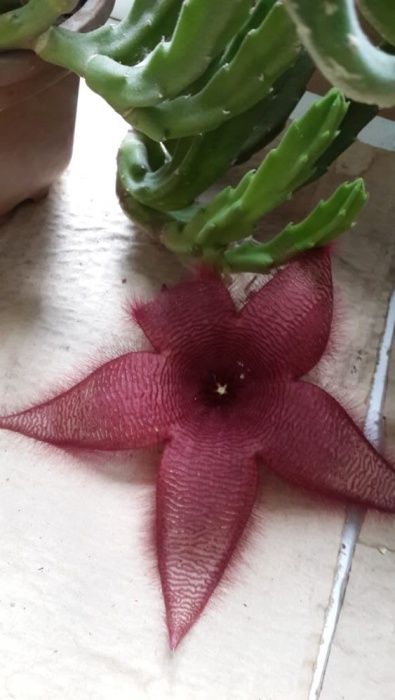 Bluetooth aux. Высшее качество