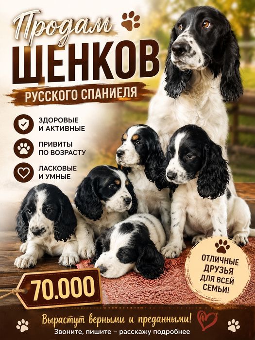 Спаниели от рабочих собак