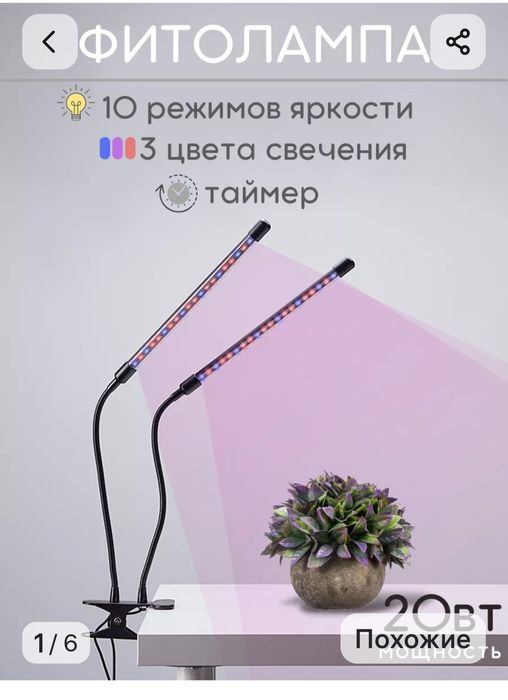 Фитолампа для дома